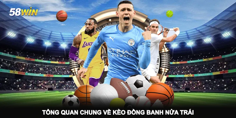 tong-quan-chung-ve-keo-dong-banh-nua-trai