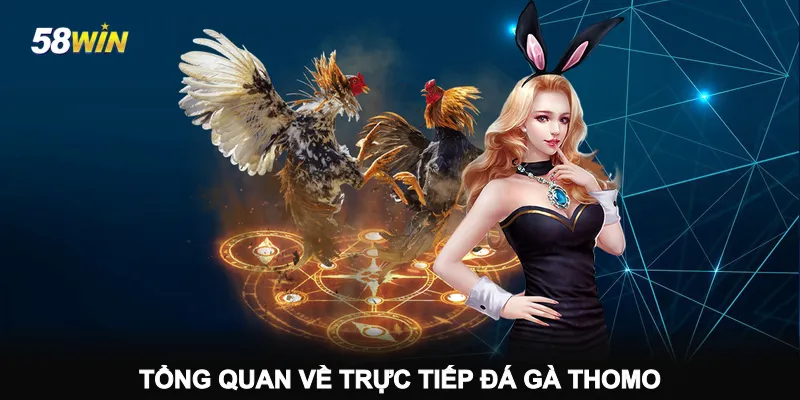 tong-quan-ve-truc-tiep-da-ga-thomo
